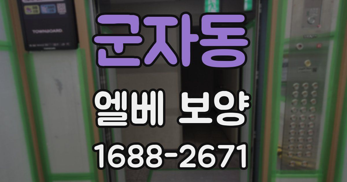 군자동 엘베 보양