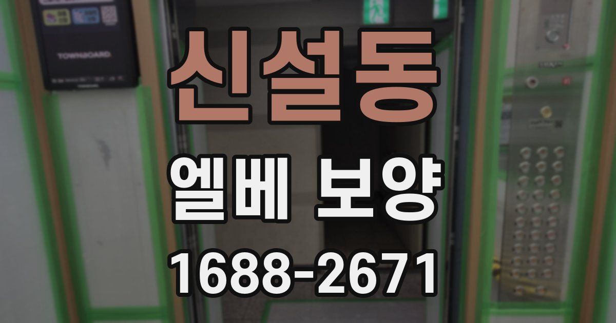 신설동 엘베 보양