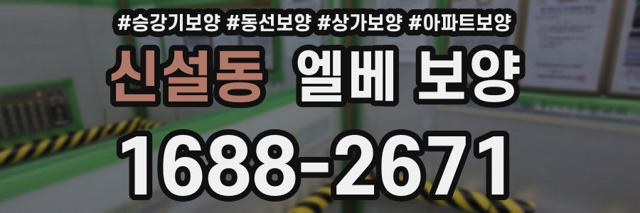 신설동 엘베 보양
