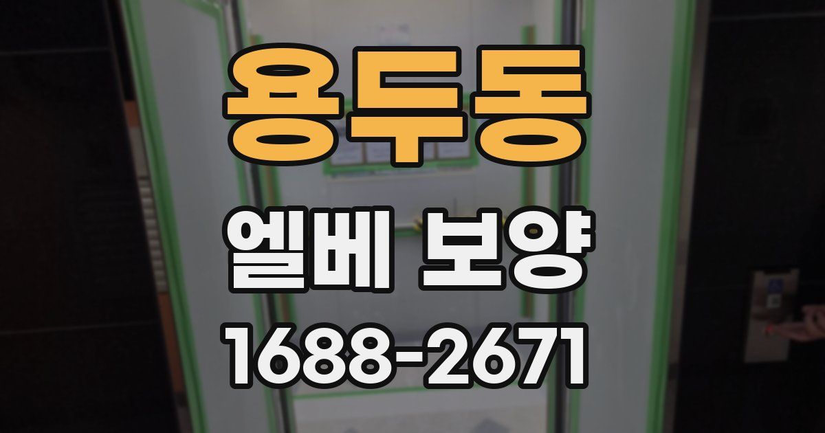 용두동 엘베 보양