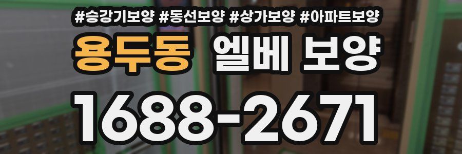 용두동 엘베 보양
