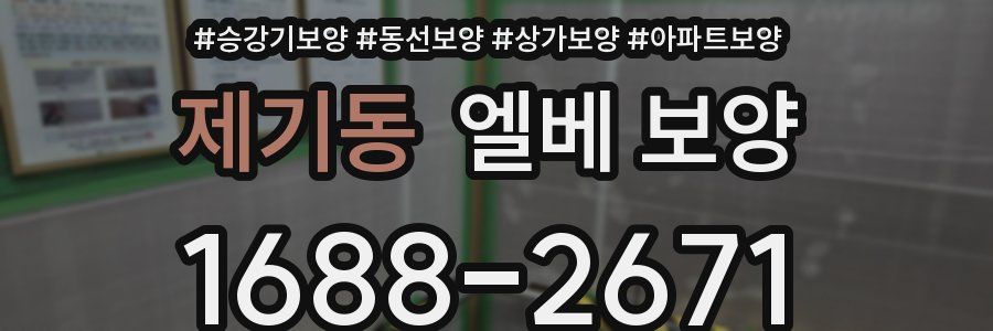 제기동 엘베 보양