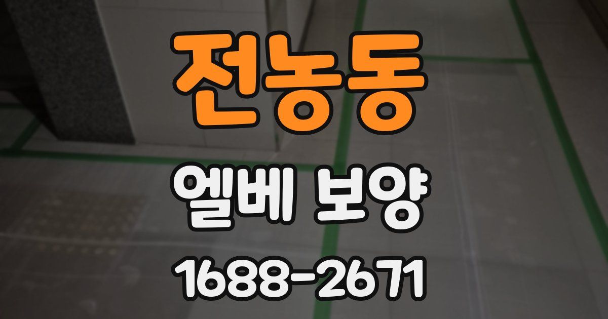 전농동 엘베 보양