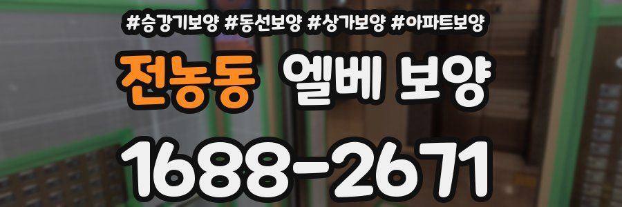 전농동 엘베 보양