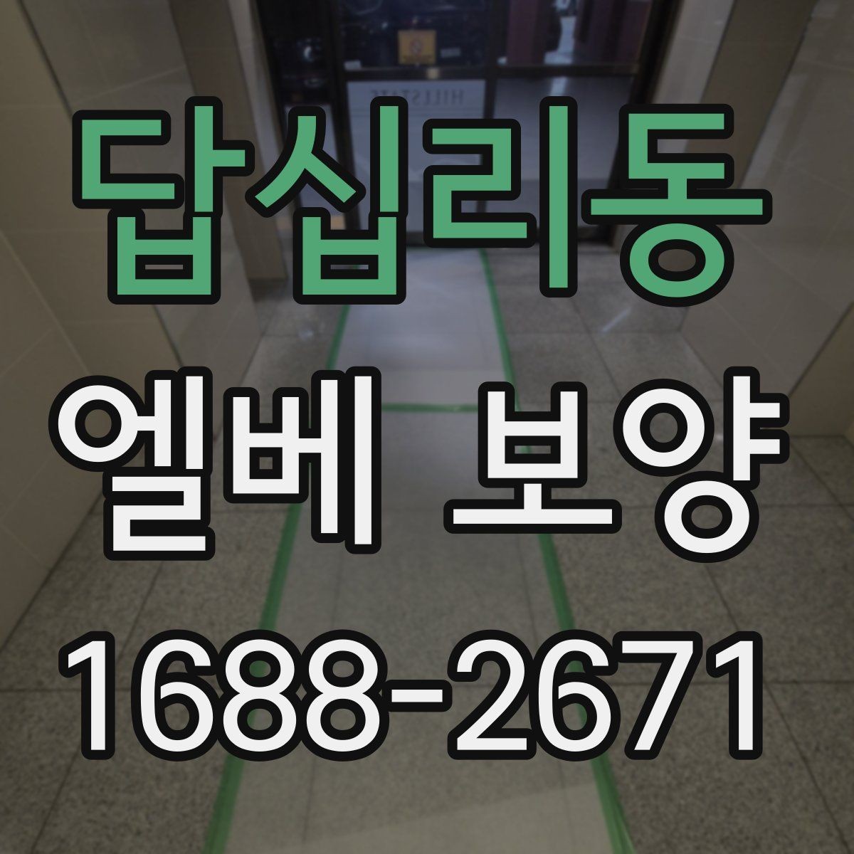 답십리동 엘베 보양 문틀 손상 줄이는 보호 요령