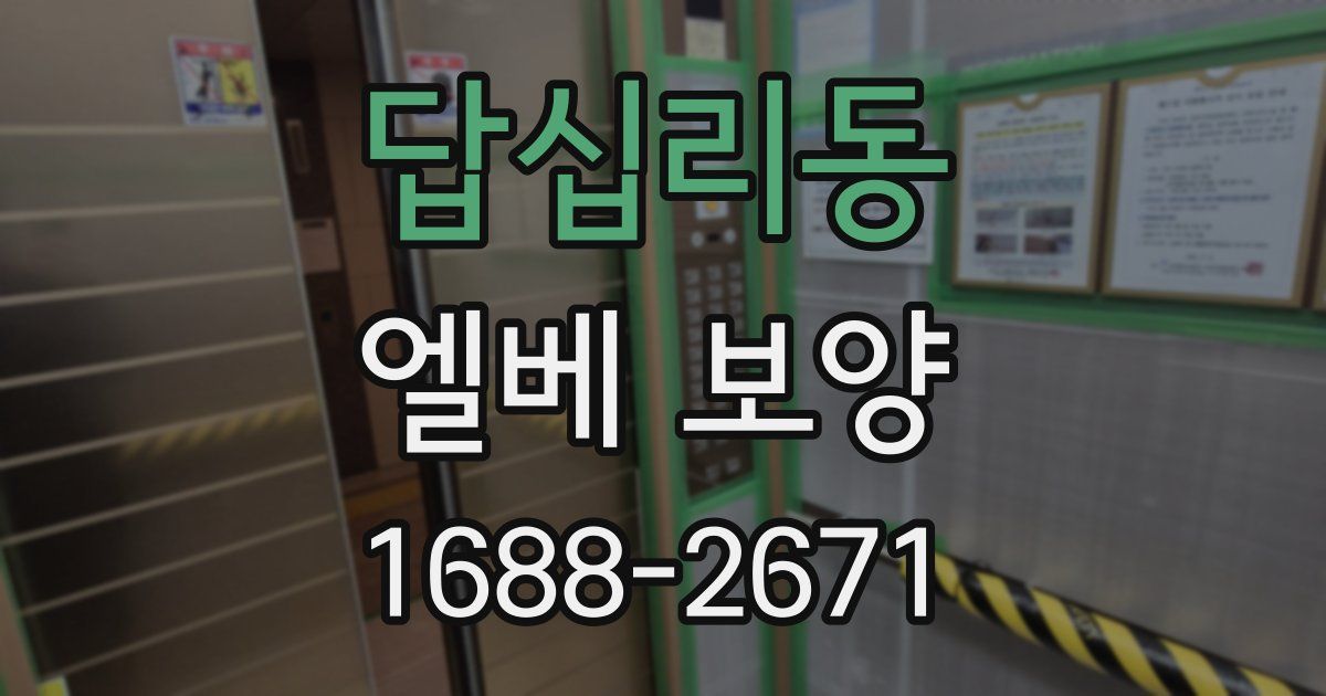 답십리동 엘베 보양