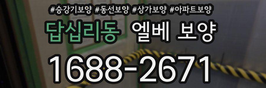 답십리동 엘베 보양