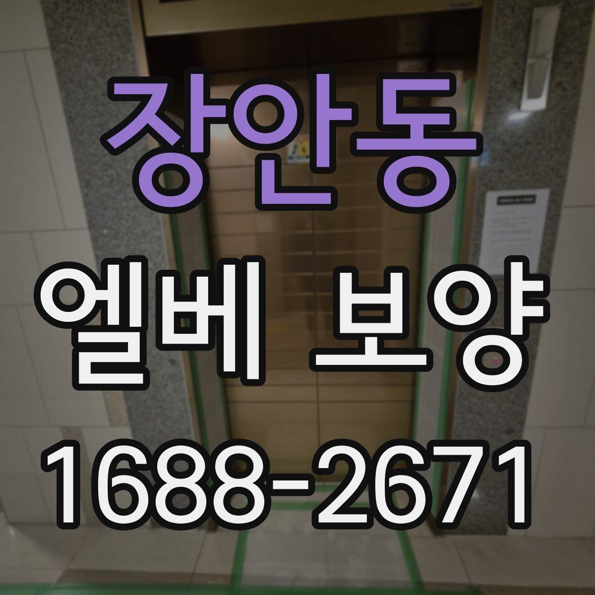 장안동 엘베 보양 현장마다 달라지는 자재 배치와 순서