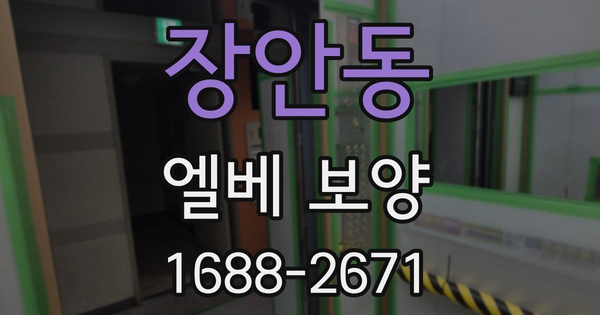 장안동 엘베 보양
