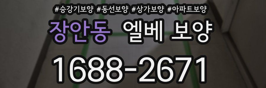 장안동 엘베 보양