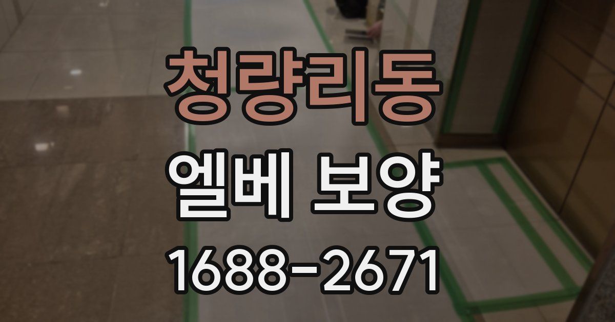 청량리동 엘베 보양
