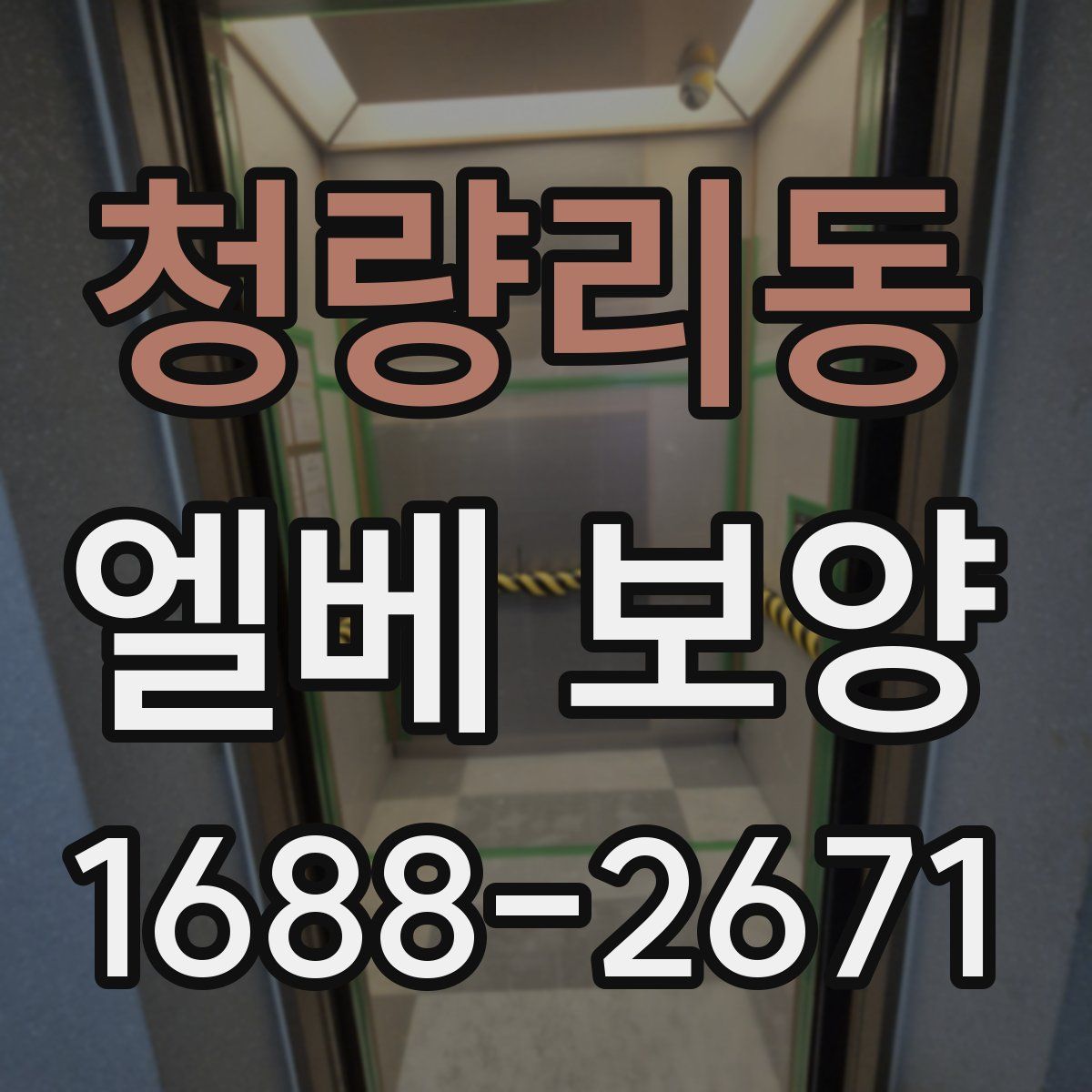 청량리동 엘베 보양