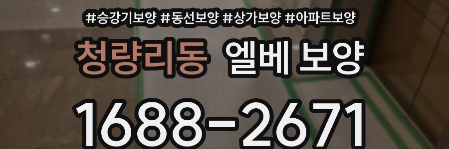청량리동 엘베 보양