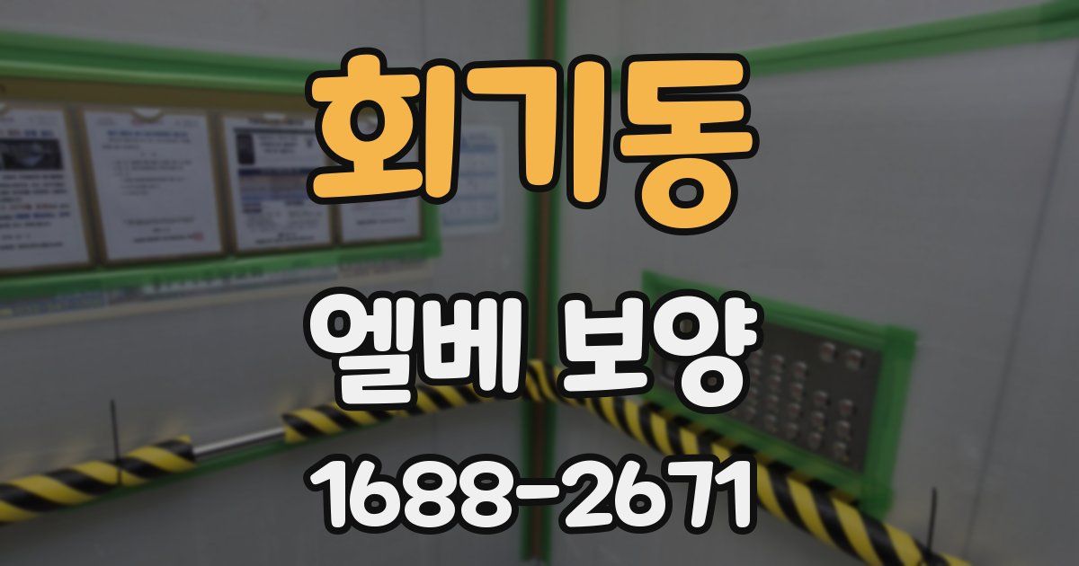 회기동 엘베 보양