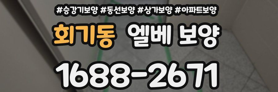 회기동 엘베 보양