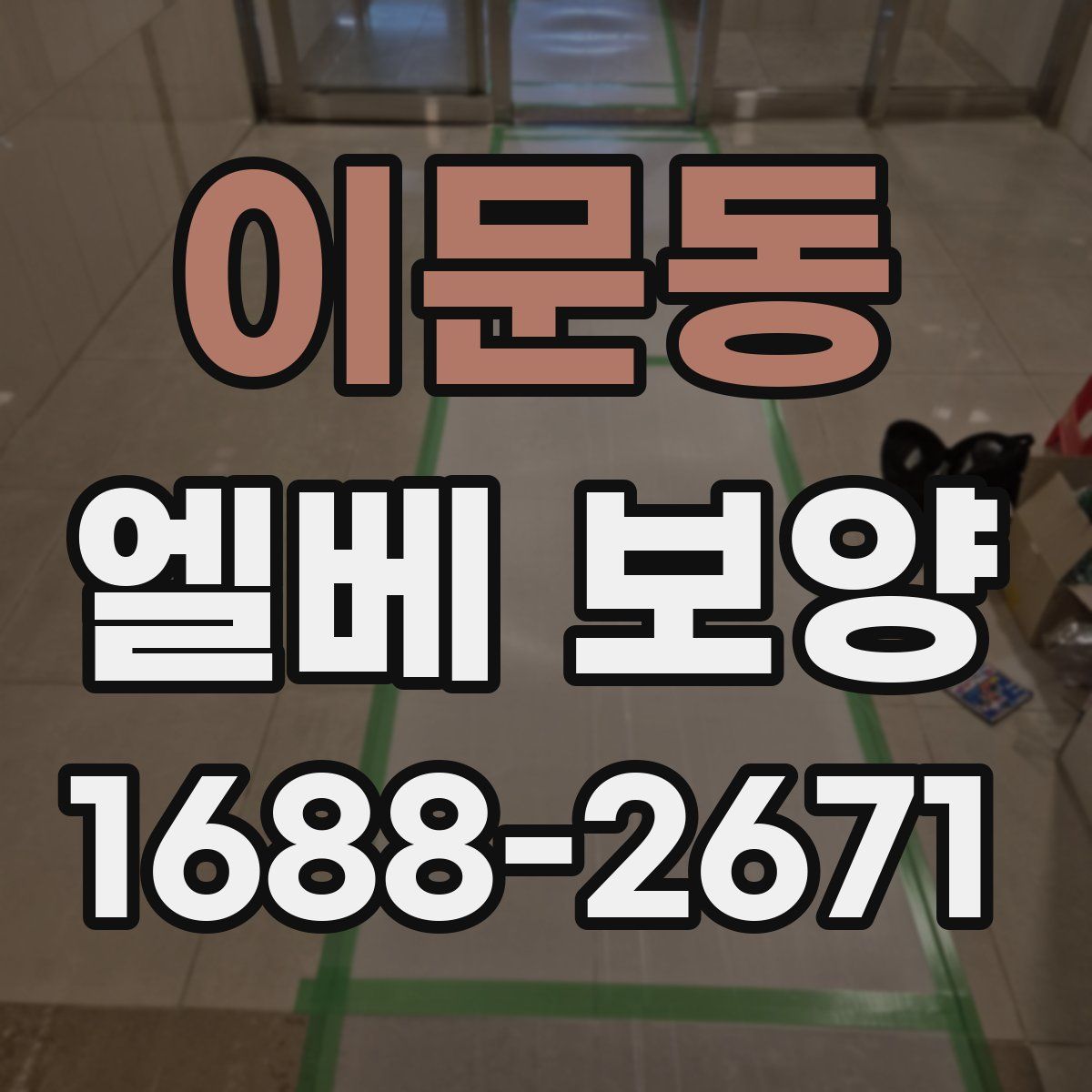이문동 엘베 보양