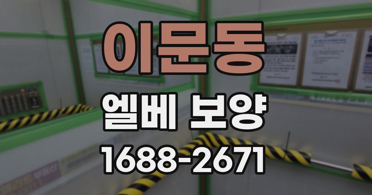 이문동 엘베 보양