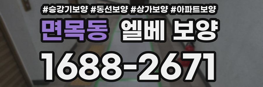 면목동 엘베 보양