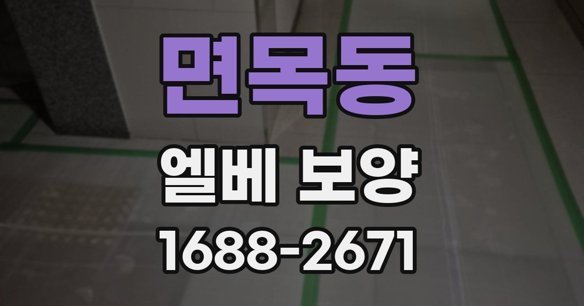 면목동 엘베 보양