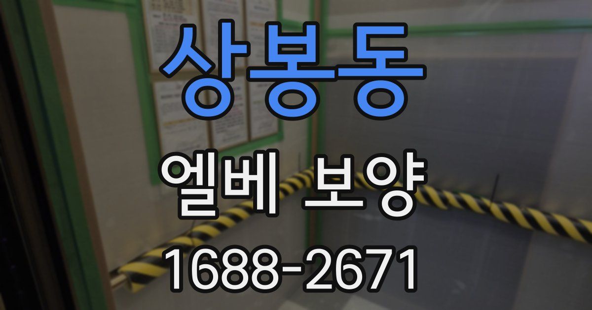 상봉동 엘베 보양