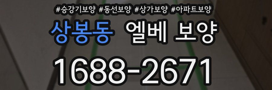 상봉동 엘베 보양