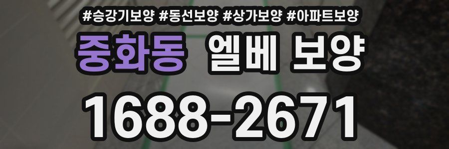 중화동 엘베 보양