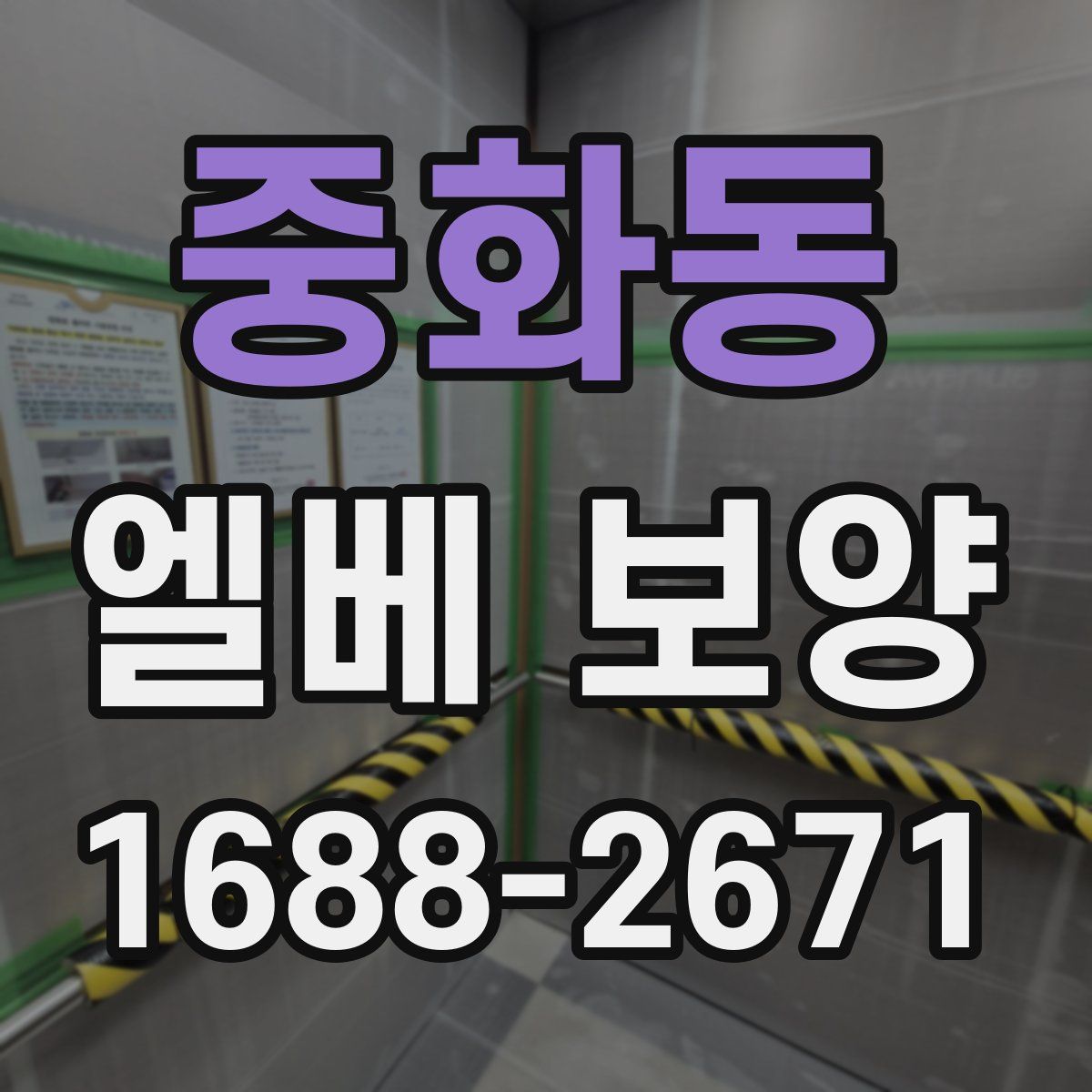 중화동 엘베 보양