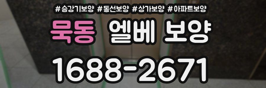 묵동 엘베 보양