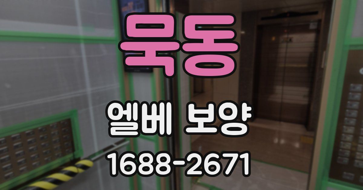 묵동 엘베 보양