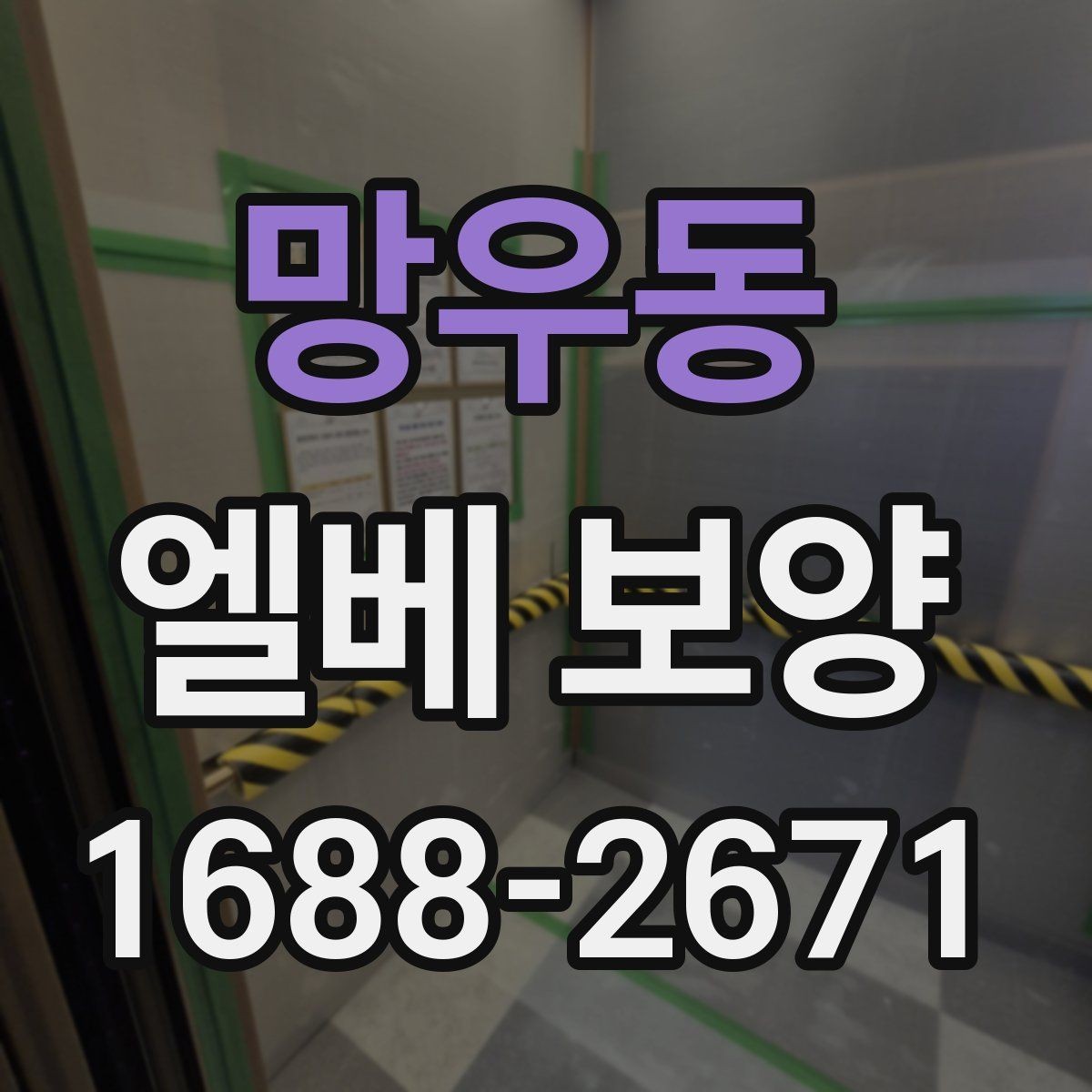 망우동 엘베 보양 현장마다 달라지는 보호 범위와 순서