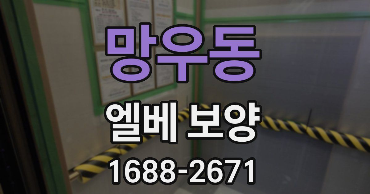 망우동 엘베 보양