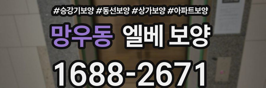 망우동 엘베 보양