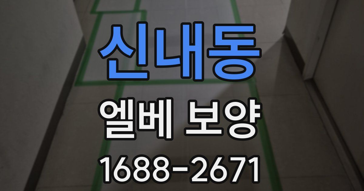 신내동 엘베 보양