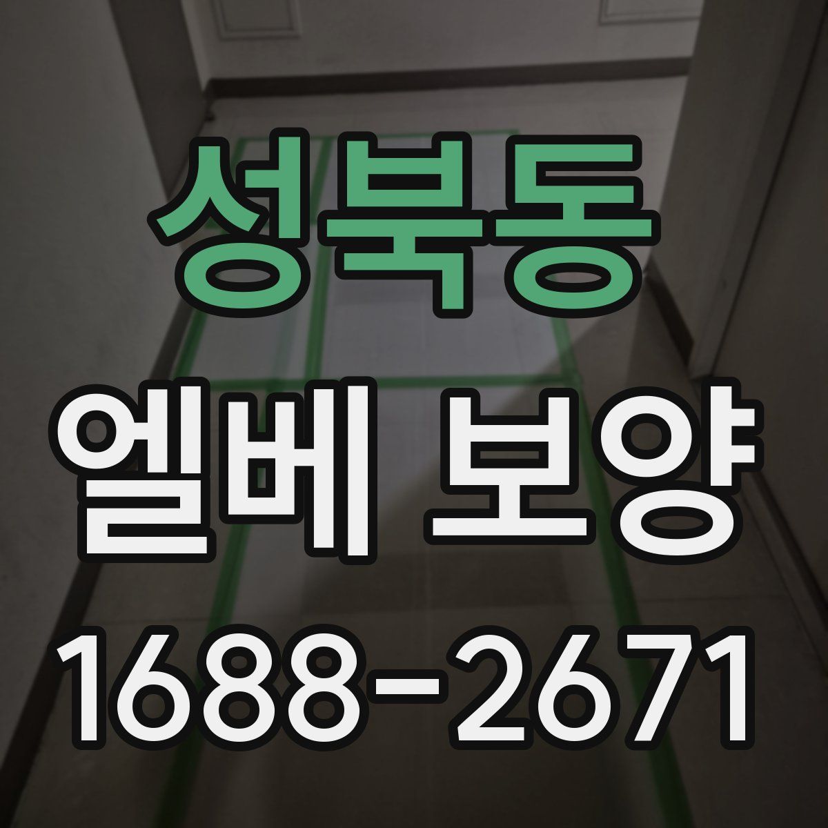 성북동 엘베 보양