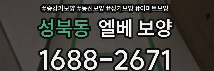 성북동 엘베 보양