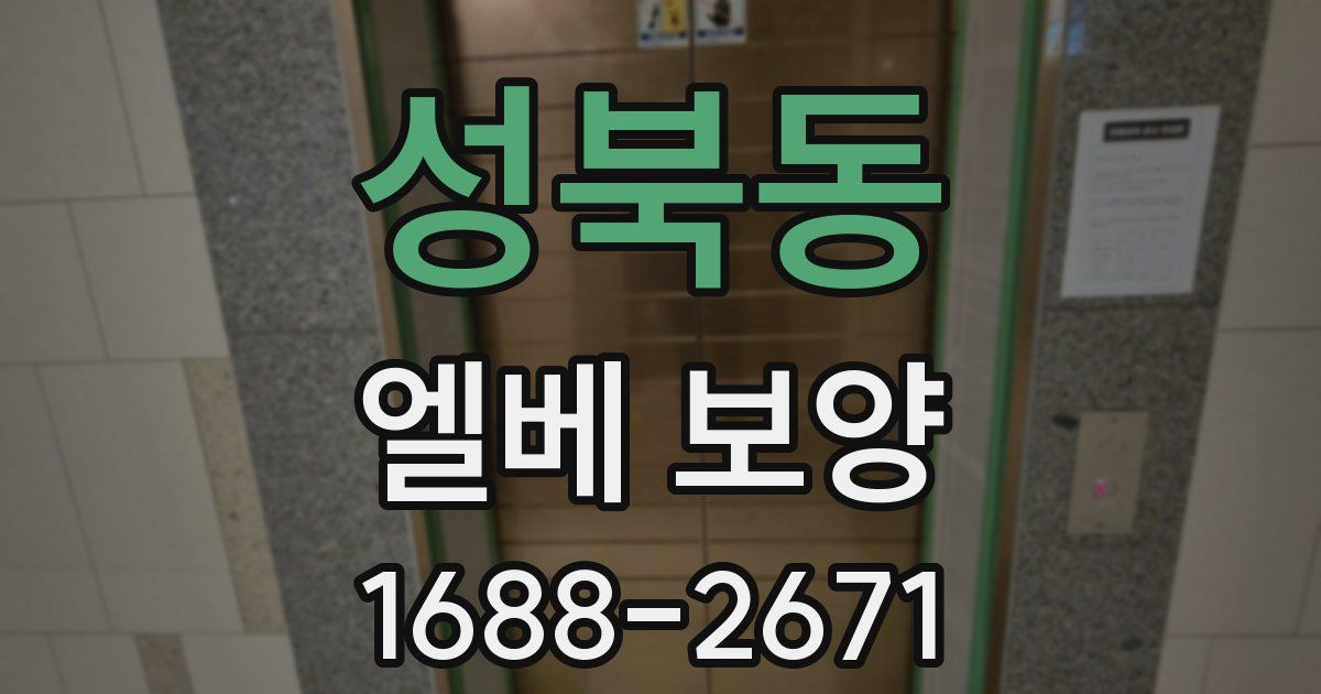 성북동 엘베 보양
