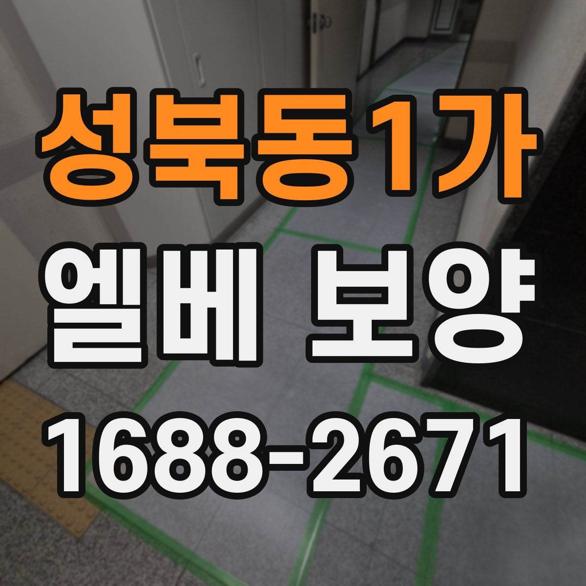 성북동1가 엘베 보양