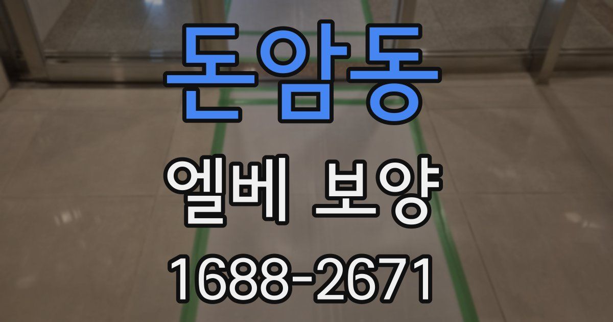 돈암동 엘베 보양