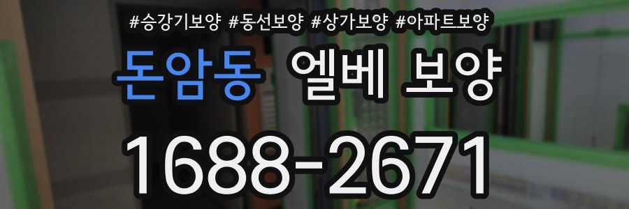 돈암동 엘베 보양