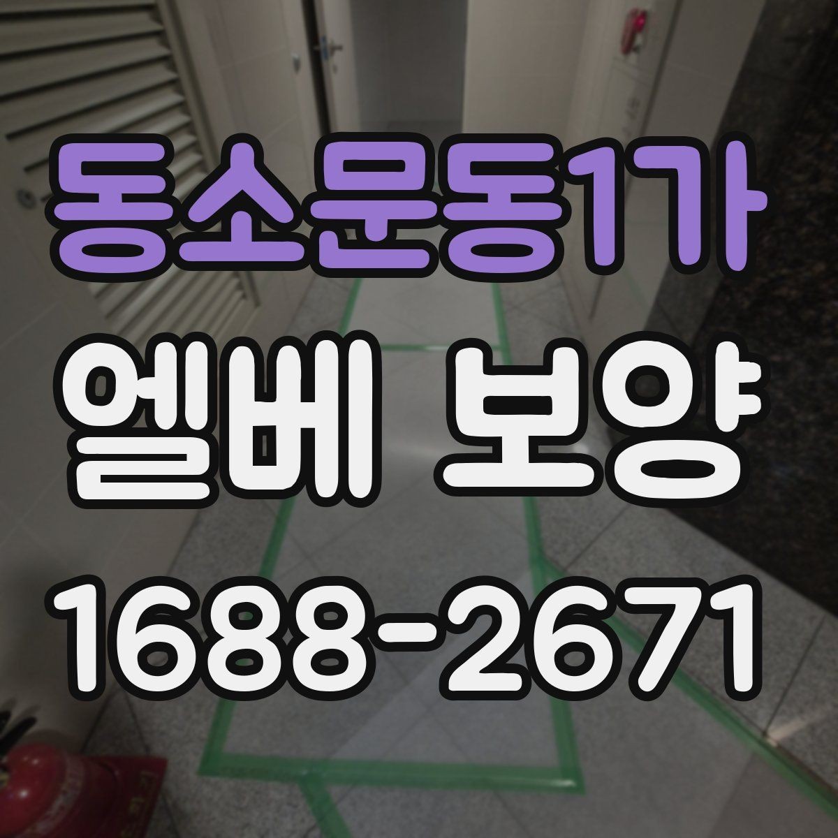 동소문동1가 엘베 보양 현장 동선이 복잡할수록 중요한 보호 방식