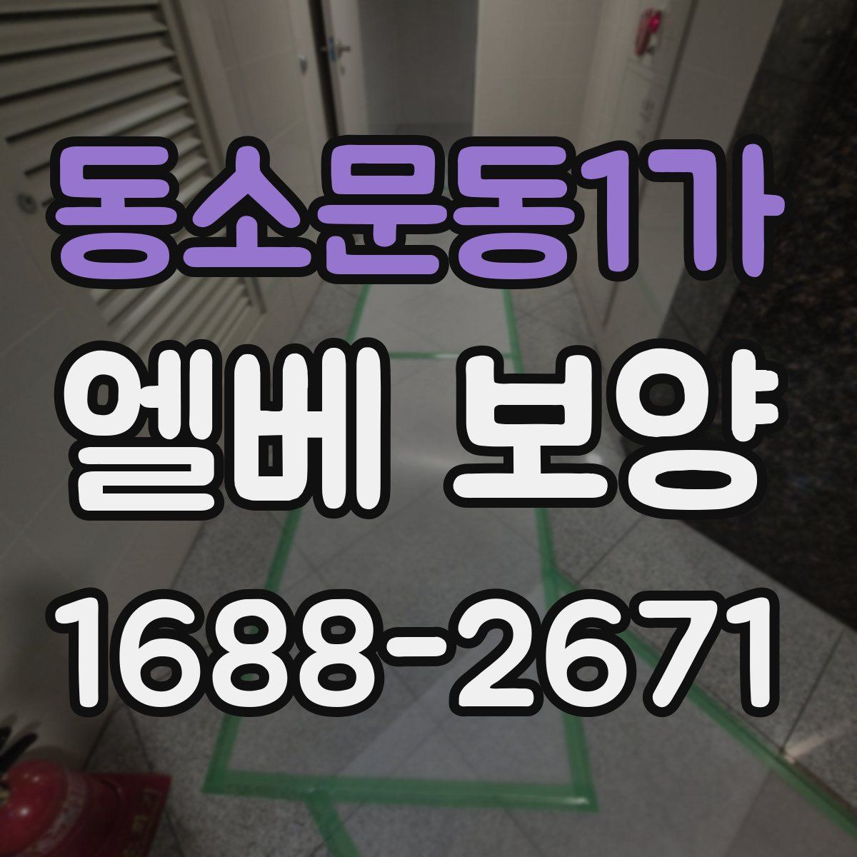 동소문동1가 엘베 보양