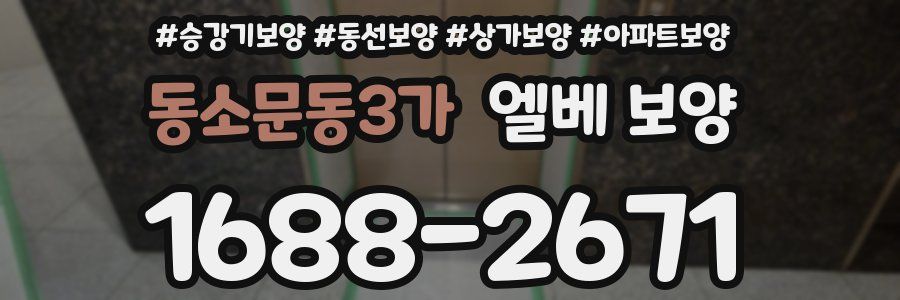 동소문동3가 엘베 보양