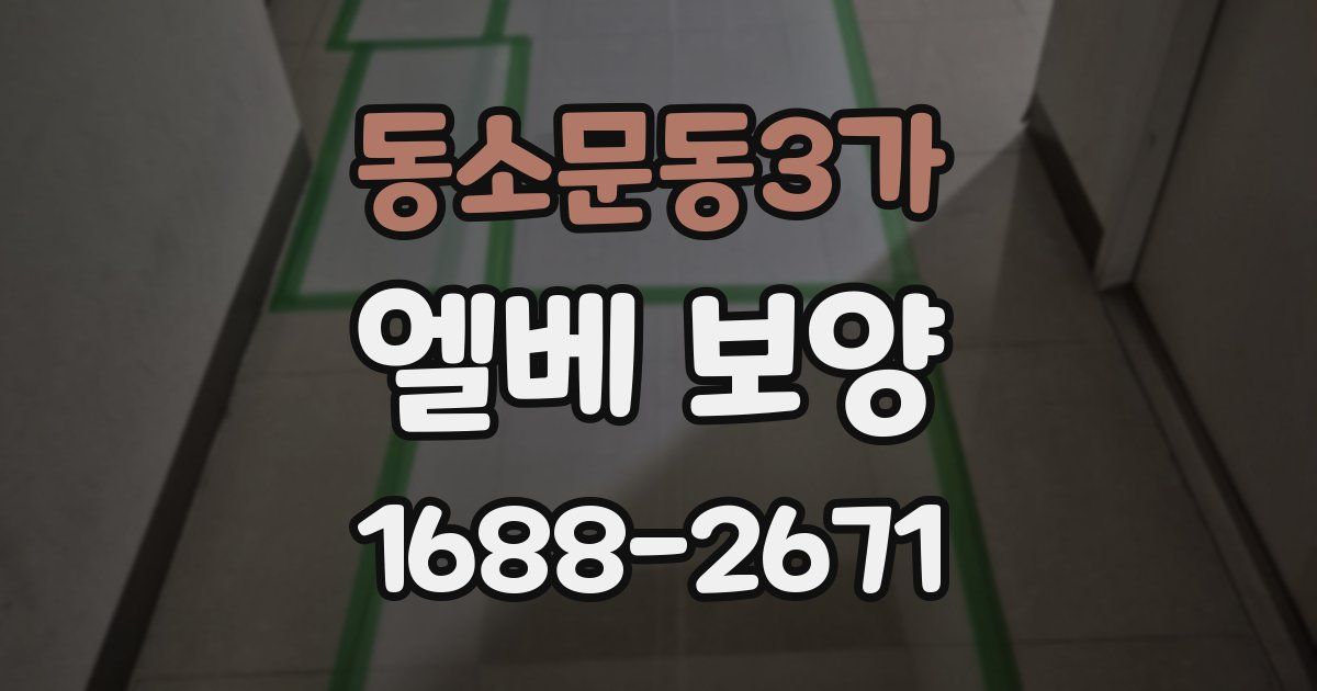 동소문동3가 엘베 보양