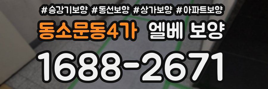 동소문동4가 엘베 보양