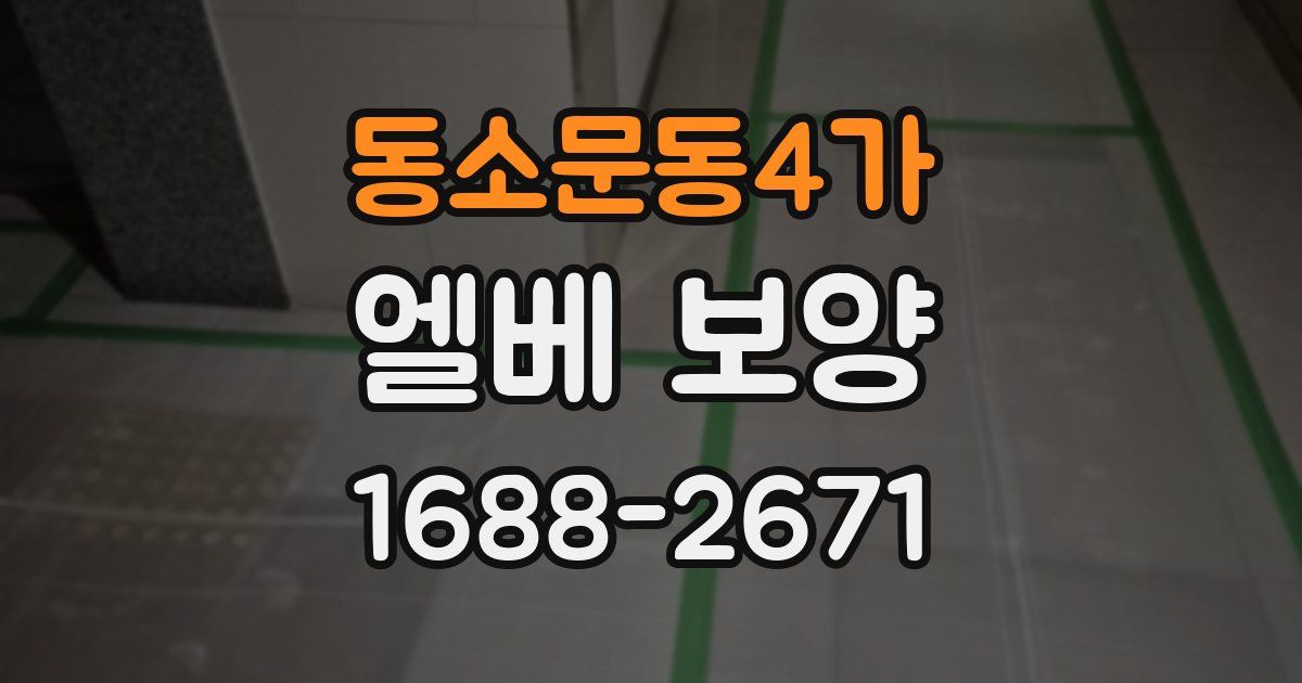 동소문동4가 엘베 보양