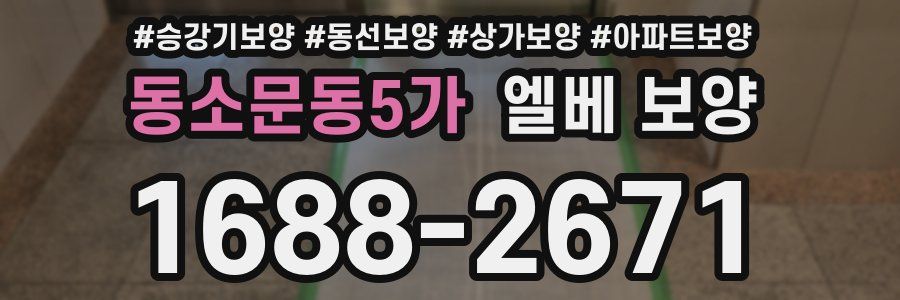 동소문동5가 엘베 보양