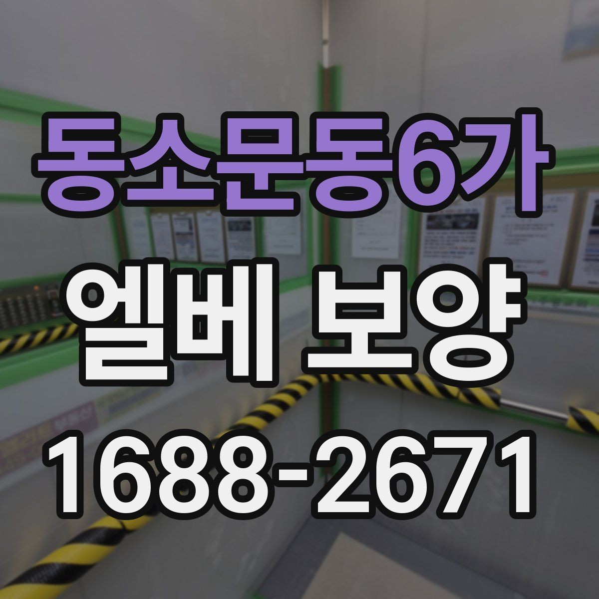 동소문동6가 엘베 보양 현장 사진을 남기면 분쟁을 줄일 수 있는 경우