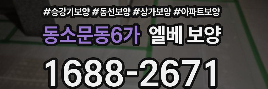 동소문동6가 엘베 보양