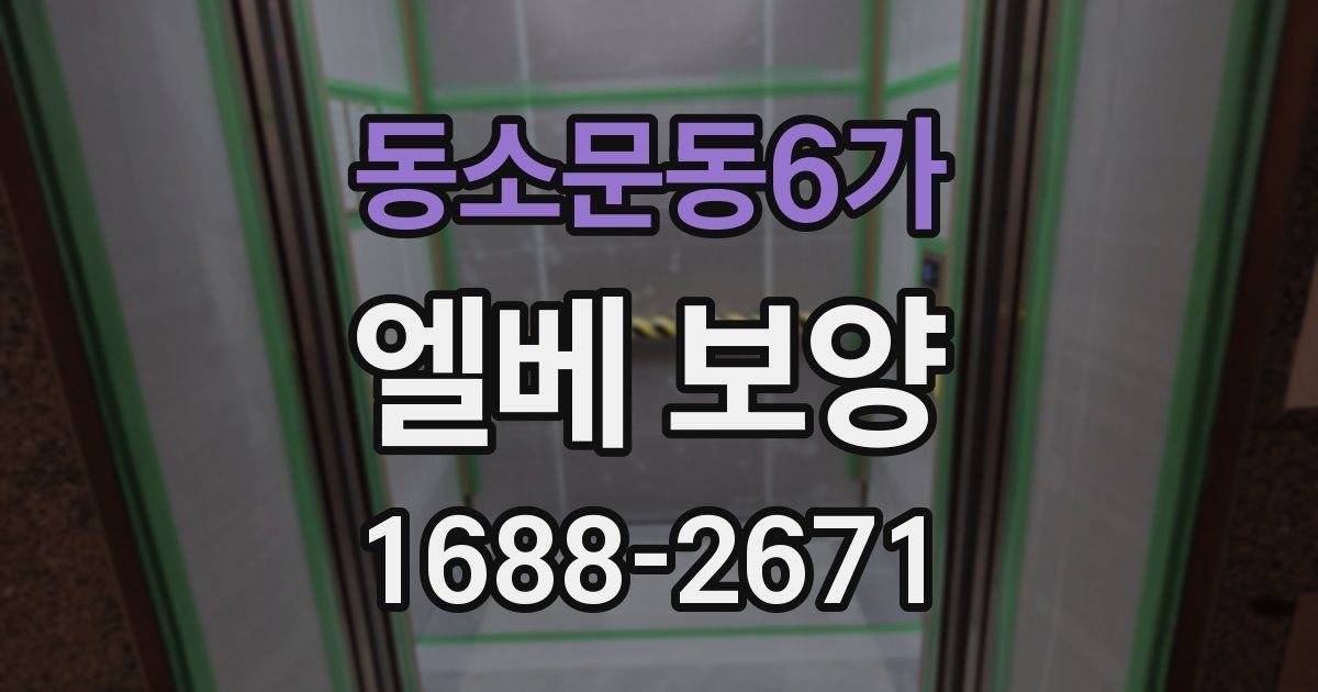 동소문동6가 엘베 보양
