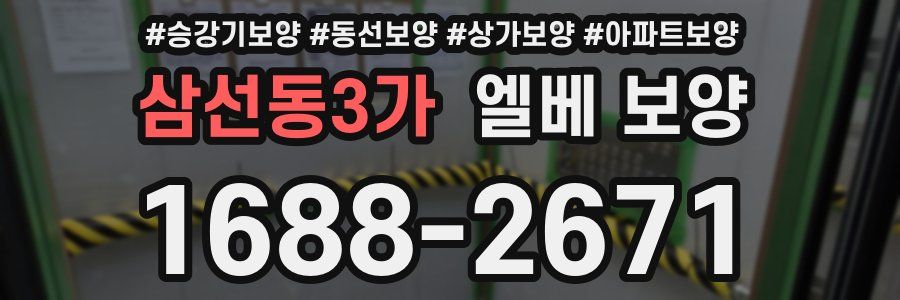 삼선동3가 엘베 보양